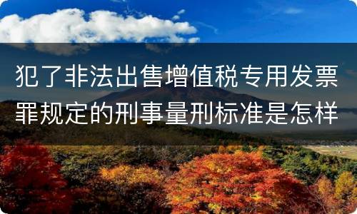犯了非法出售增值税专用发票罪规定的刑事量刑标准是怎样的