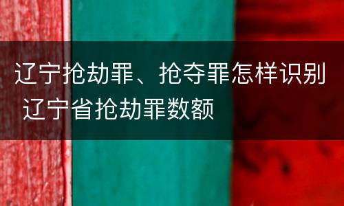 辽宁抢劫罪、抢夺罪怎样识别 辽宁省抢劫罪数额