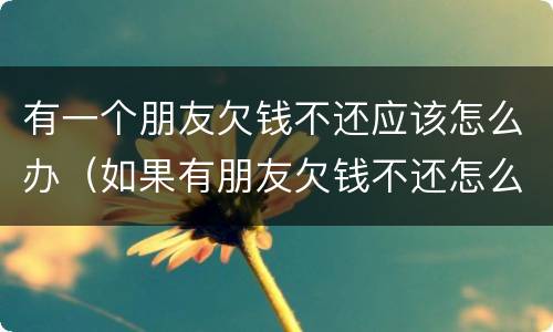 有一个朋友欠钱不还应该怎么办（如果有朋友欠钱不还怎么办）