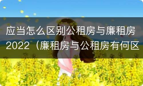 应当怎么区别公租房与廉租房2022（廉租房与公租房有何区别）