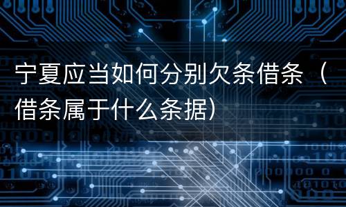 宁夏应当如何分别欠条借条（借条属于什么条据）