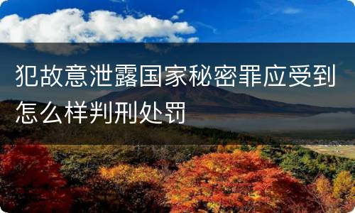 犯故意泄露国家秘密罪应受到怎么样判刑处罚