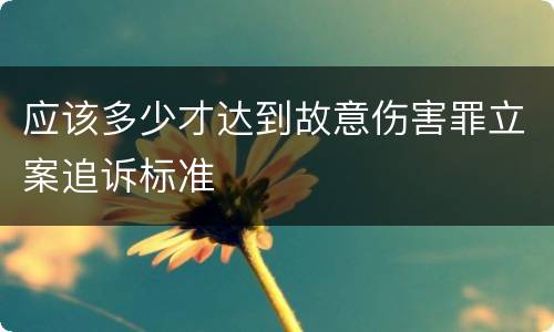 应该多少才达到故意伤害罪立案追诉标准