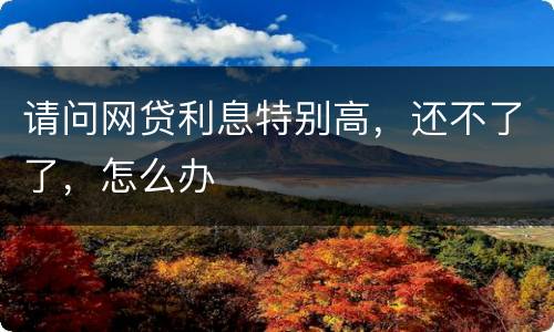 请问网贷利息特别高，还不了了，怎么办