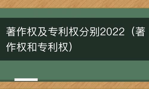 著作权及专利权分别2022（著作权和专利权）