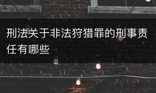 刑法关于非法狩猎罪的刑事责任有哪些