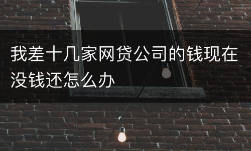 我差十几家网贷公司的钱现在没钱还怎么办