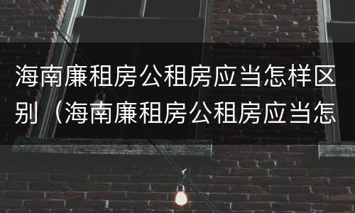 海南廉租房公租房应当怎样区别（海南廉租房公租房应当怎样区别房源）