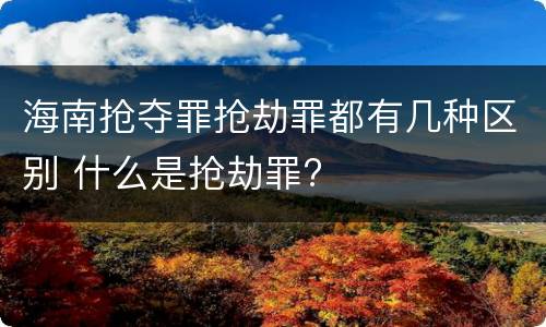 海南抢夺罪抢劫罪都有几种区别 什么是抢劫罪?