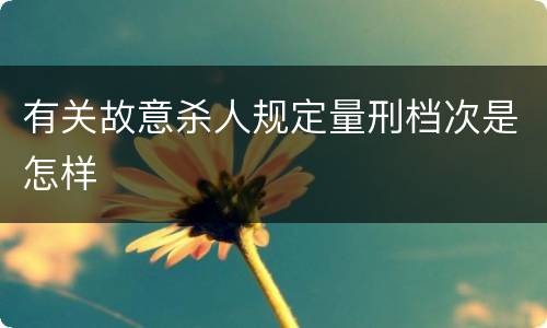 有关故意杀人规定量刑档次是怎样
