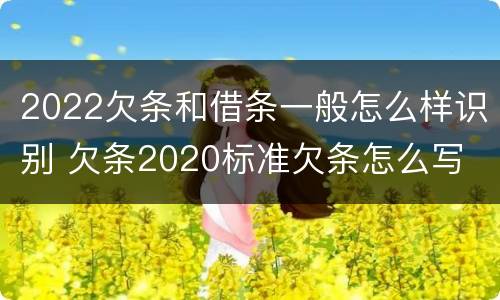 2022欠条和借条一般怎么样识别 欠条2020标准欠条怎么写