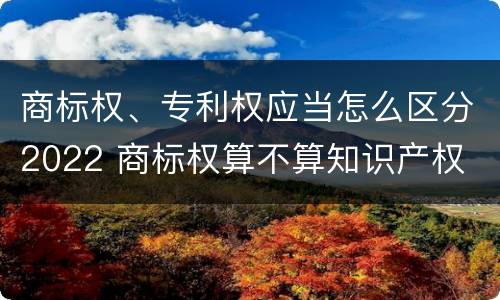 商标权、专利权应当怎么区分2022 商标权算不算知识产权
