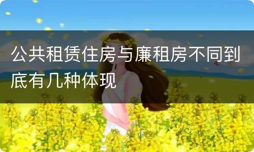 公共租赁住房与廉租房不同到底有几种体现