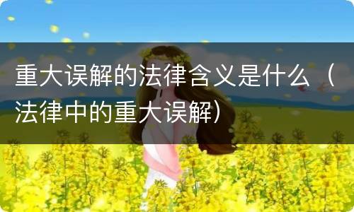 重大误解的法律含义是什么（法律中的重大误解）