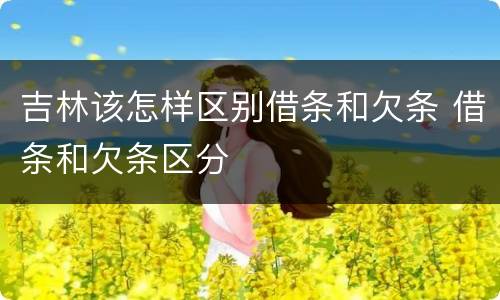 吉林该怎样区别借条和欠条 借条和欠条区分