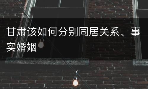 甘肃该如何分别同居关系、事实婚姻
