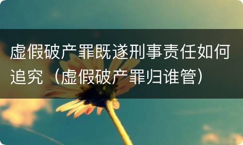 虚假破产罪既遂刑事责任如何追究（虚假破产罪归谁管）