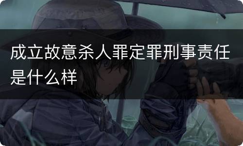 成立故意杀人罪定罪刑事责任是什么样