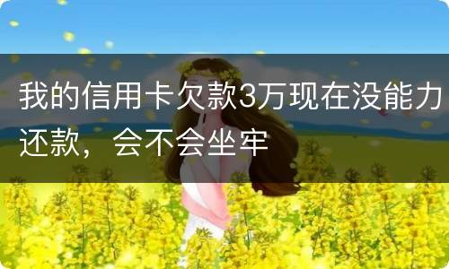我的信用卡欠款3万现在没能力还款，会不会坐牢