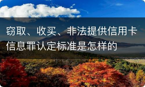 窃取、收买、非法提供信用卡信息罪认定标准是怎样的