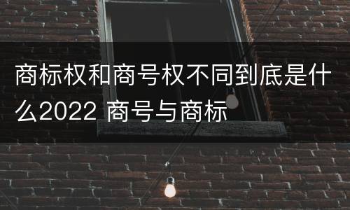 商标权和商号权不同到底是什么2022 商号与商标