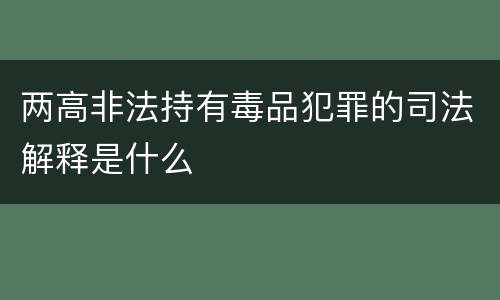 两高非法持有毒品犯罪的司法解释是什么