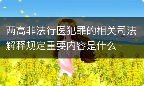 两高非法行医犯罪的相关司法解释规定重要内容是什么