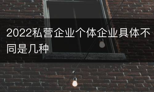 2022私营企业个体企业具体不同是几种