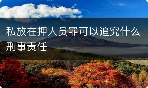 私放在押人员罪可以追究什么刑事责任