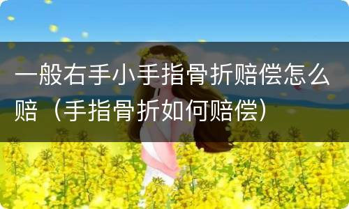 一般右手小手指骨折赔偿怎么赔（手指骨折如何赔偿）