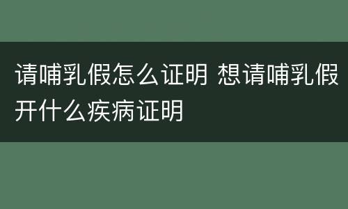 请哺乳假怎么证明 想请哺乳假开什么疾病证明
