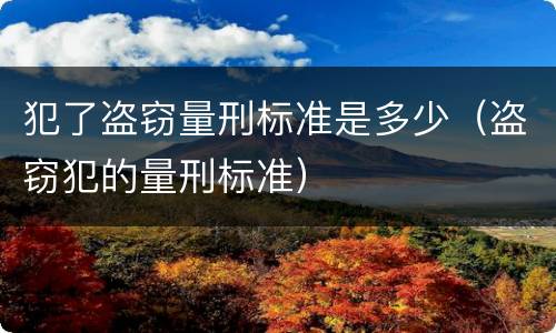 犯了盗窃量刑标准是多少（盗窃犯的量刑标准）