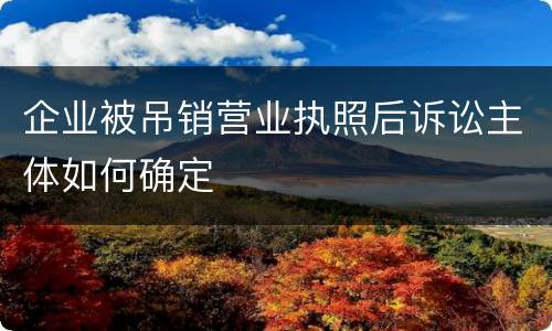 企业被吊销营业执照后诉讼主体如何确定