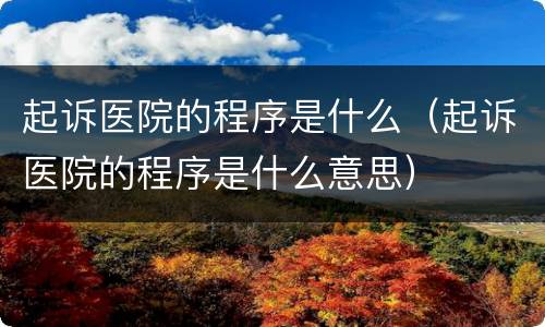 起诉医院的程序是什么（起诉医院的程序是什么意思）