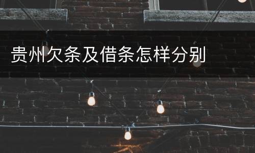 贵州欠条及借条怎样分别