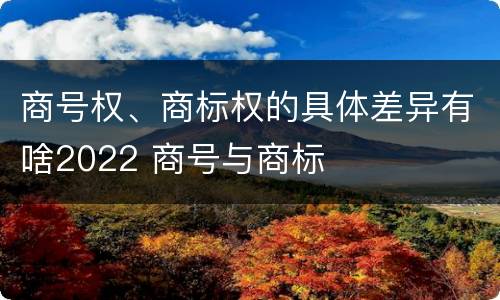 商号权、商标权的具体差异有啥2022 商号与商标