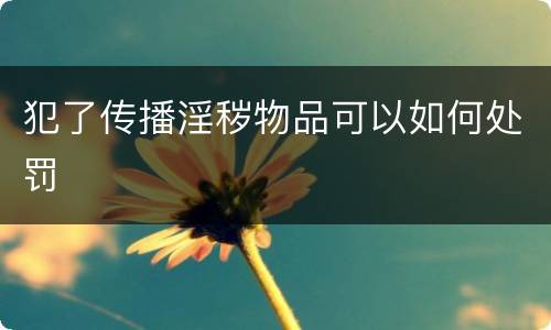 犯了传播淫秽物品可以如何处罚