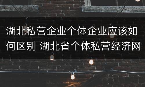 湖北私营企业个体企业应该如何区别 湖北省个体私营经济网