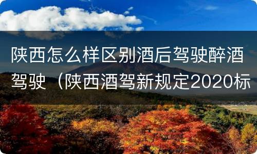 陕西怎么样区别酒后驾驶醉酒驾驶（陕西酒驾新规定2020标准处罚）