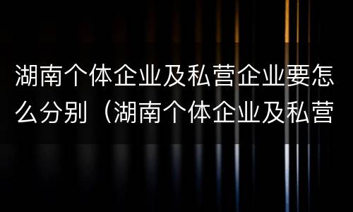 湖南个体企业及私营企业要怎么分别（湖南个体企业及私营企业要怎么分别缴纳社保）