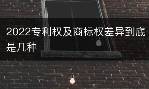2022专利权及商标权差异到底是几种