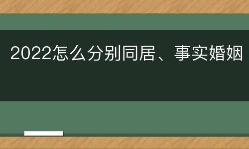 2022怎么分别同居、事实婚姻