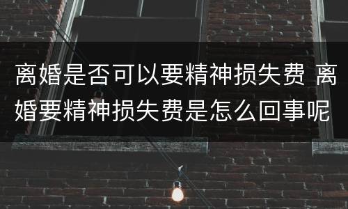 离婚是否可以要精神损失费 离婚要精神损失费是怎么回事呢