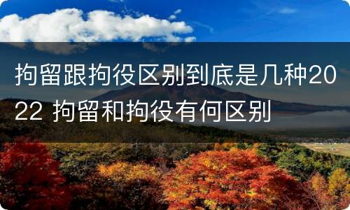 拘留跟拘役区别到底是几种2022 拘留和拘役有何区别