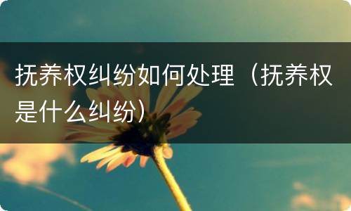 抚养权纠纷如何处理（抚养权是什么纠纷）