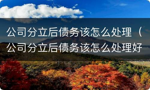 公司分立后债务该怎么处理（公司分立后债务该怎么处理好）