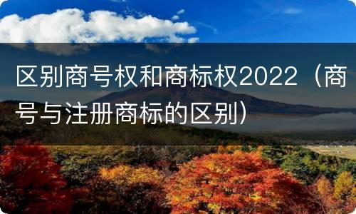 区别商号权和商标权2022（商号与注册商标的区别）