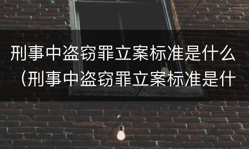 刑事中盗窃罪立案标准是什么（刑事中盗窃罪立案标准是什么样的）