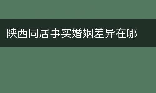 陕西同居事实婚姻差异在哪