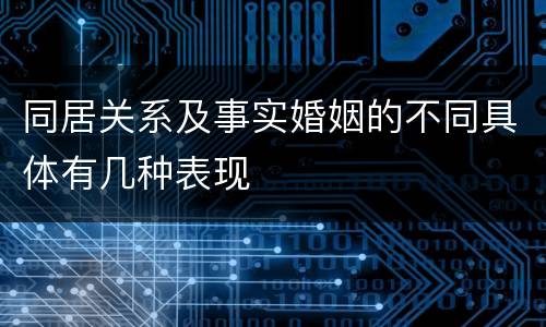 同居关系及事实婚姻的不同具体有几种表现